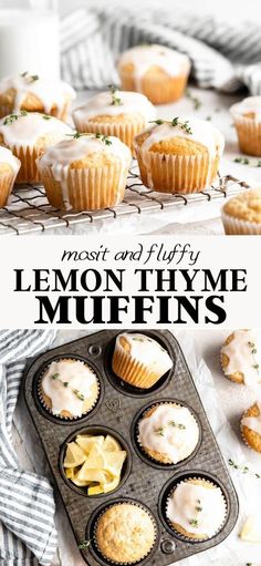 lemon thyme muffins in a muffin tin