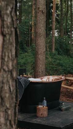 an old fashioned bathtub in the middle of a wooded area with picnic tables and benches