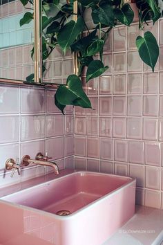 a pink sink in front of a mirror with green leaves on the wall above it