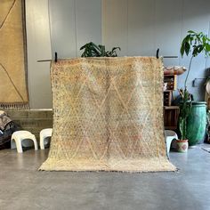 a large rug sitting on top of a floor next to chairs and potted plants