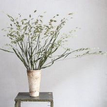 a plant in a vase sitting on top of a table