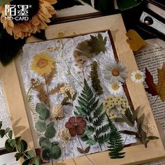 an arrangement of flowers and leaves are displayed in a wooden frame on top of books