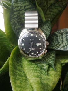 Stainless steel, Waterproof, Automatic, Ocean Diver, Daydate Silver Outdoor Watch With Date Display, Jewellery Watch, Jaeger Lecoultre Watches, Diver Watch, Jaeger Lecoultre, Watch Box, Wrist Watches, Diver, Vintage Watches