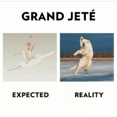 an image of a dog that is jumping in the air next to a photo of a ballerina