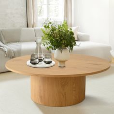 a living room with white couches and a coffee table in the middle, surrounded by potted plants