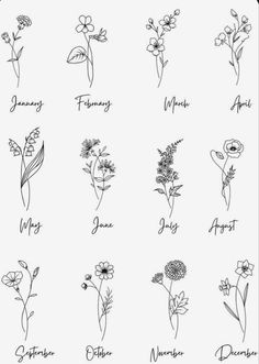 an image of flowers that are drawn in ink with the words months and names on them