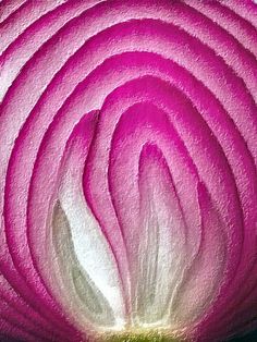 the center of a pink flower with white stamen