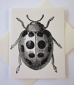 a drawing of a ladybug sitting on top of a piece of brown paper