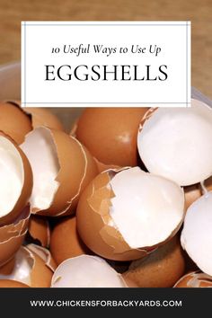 eggs in a bowl with the words 10 useful ways to use up eggshells