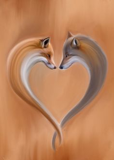 two foxes making a heart shape with their heads to each other in front of an orange background