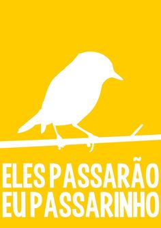 a white bird sitting on top of a power line with the words elespassarao eup assarino