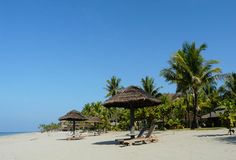 beach chairs and straw umbrellas are on the sand near the water in front of palm trees