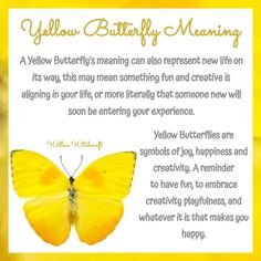 Green Butterfly Spiritual Meaning, Butterfly Color Meaning Spiritual, Yellow Butterfly Spiritual Meaning, Butterfly Spirit Animal, Yellow Butterfly Tattoo