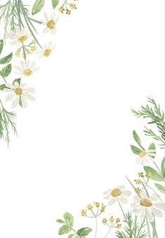 an image of flowers and leaves on a white background