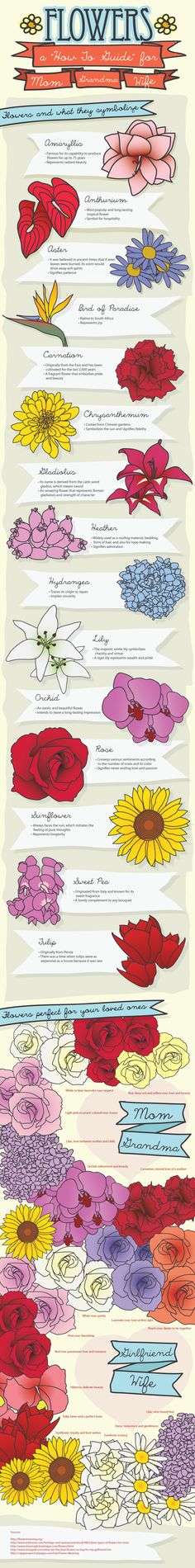 an image of the different types of flowers in each country, and their names on it