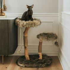 a cat sitting on top of a scratching post