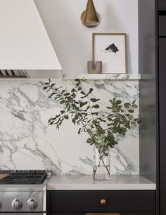 a kitchen with marble counter tops and black cabinets, an oven and a potted plant