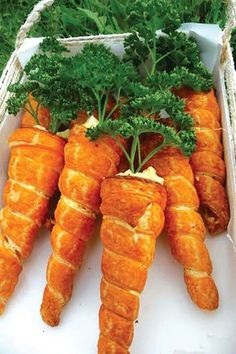 some carrots are laying in a basket on the ground with parsley growing out of them