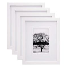 three white frames with a tree in the middle and snow on the ground behind them