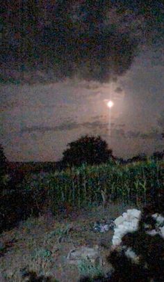 a full moon is seen in the sky over a cornfield at night with dark clouds