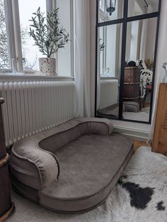 a dog bed sitting in front of a window next to a rug on the floor