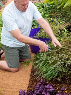 a man kneeling down in front of some plants and cutting them into small pieces with scissors