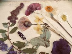 various flowers and leaves on a white surface