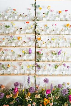 flowers are arranged in glass vases on the wall