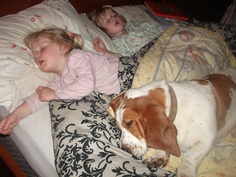 two children sleeping in bed with a dog