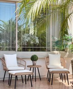 three wicker chairs and two tables in front of a window with palm trees outside