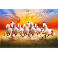 a group of horses running across a field at sunset with the sun in the background