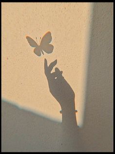 the shadow of a person's hand holding a butterfly