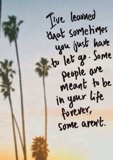 palm trees with the words live learned that sometimes you just have to let go some people are meant to be in your life forever