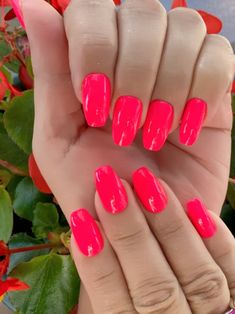 Neon Pink Nail Polish Bright Pink Polish Wild Watermelon Etsy Acrylics Square, Uñas Color Coral, Nail Gelish, Neon Pink Nail, Neon Pink Nail Polish, Bright Pink Nails, Neon Pink Nails, Nails Bright, Neon Nail Polish