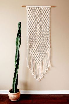 a cactus in a pot next to a macrame wall hanging