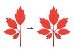 a red leaf is shown with an arrow pointing to the left and right side of it