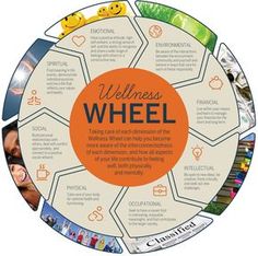 Wellness Wheel - Wellness at UNH - Wellness for College Students Self Care Wheel, Wellness Wheel, Wellness Plan, Workplace Wellness, Personal Wellness, Free Workbook, Self Exploration, Creating A Vision Board