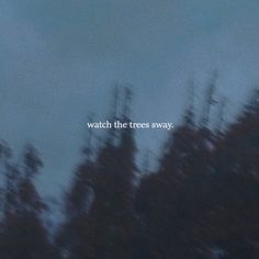 the words watch the trees sway are written in white