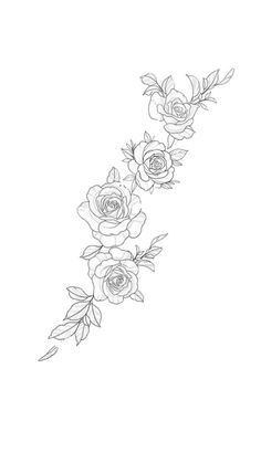 a line drawing of three roses on a white background