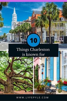 charleston is known for its beautiful trees and colorful buildings with the words 10 things charleston is known