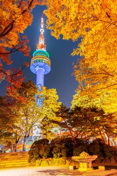 the tv tower at night in autumn