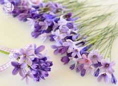 purple flowers are laid out on a white surface