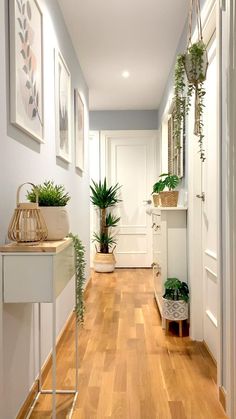 the hallway is clean and ready for us to use as an entrance way in this home