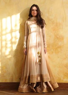 Traditional Indian Dress, Indian Bridal Dress, Pure Chiffon, Simple Pakistani Dresses, Party Wear Indian Dresses