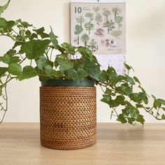 a potted plant sitting on top of a wooden table next to a wall calendar