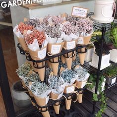 there are many cones with plants in them on the shelf outside at the flower shop