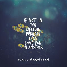 a quote that says if not in this lifetime perhaps i can love you in another