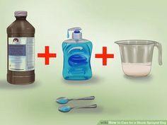 the contents of a water bottle, measuring cup and spoon are shown in this image