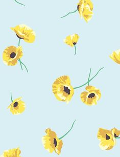 some yellow flowers on a blue background