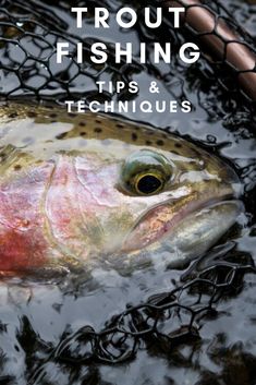 a fish that is in some water with the words trout fishing tips and techniques on it